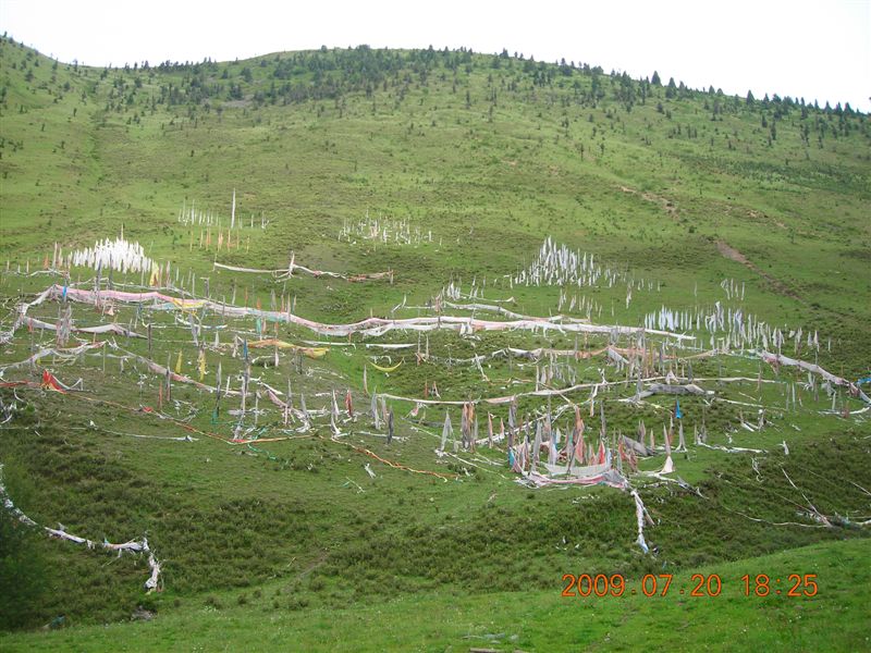 DSCN9493.JPG