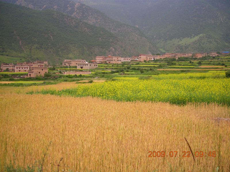 DSCN0069.JPG