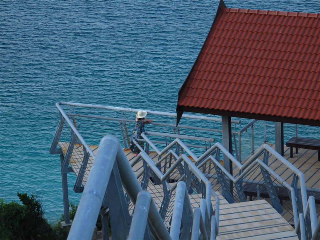 IMG_7323.jpg