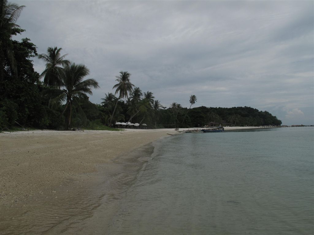 IMG_8207.jpg