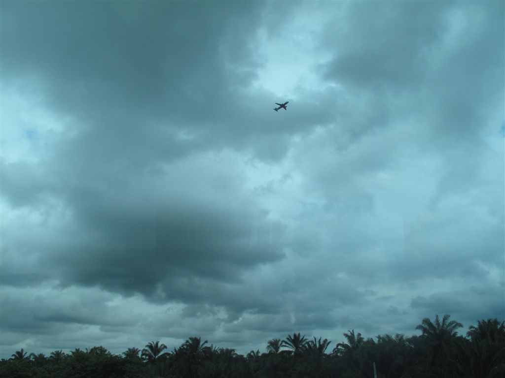 IMG_8619.jpg