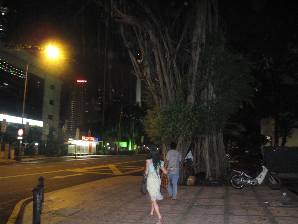 IMG_8754.jpg