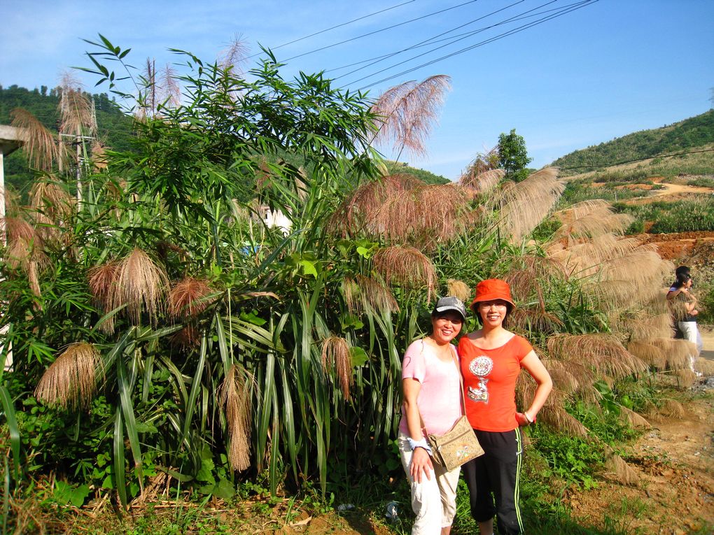 ��Ƭ 027.jpg