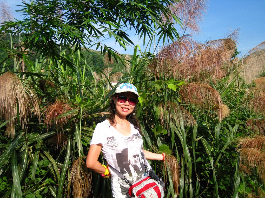 ��Ƭ 025.jpg