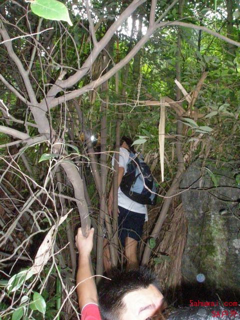 100704201600cd5192e7f5a109.jpg