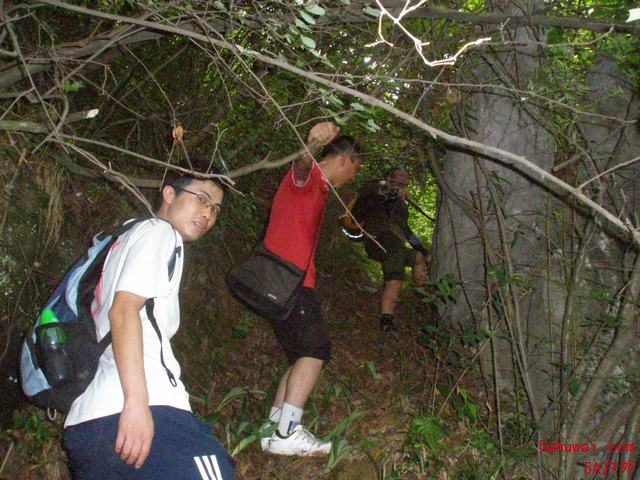 10070420392579dc337a6f1914.jpg