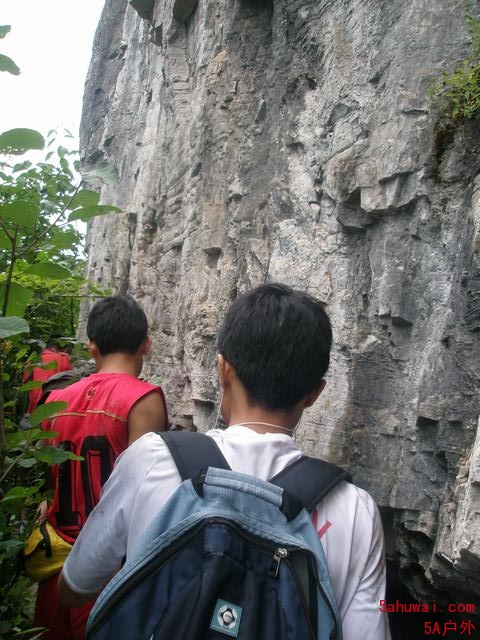 1007051901e763b1bb3f78b856.jpg