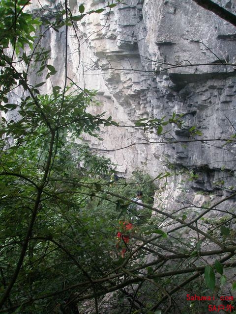 10070518564839d58206cb146c.jpg