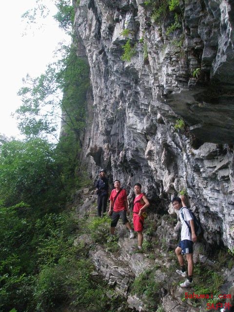 1007051907a35febedbfad977a.jpg