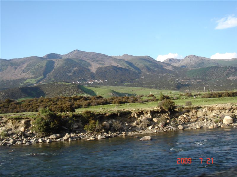 DSC07976.JPG