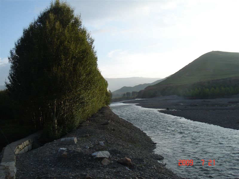 DSC08002.JPG