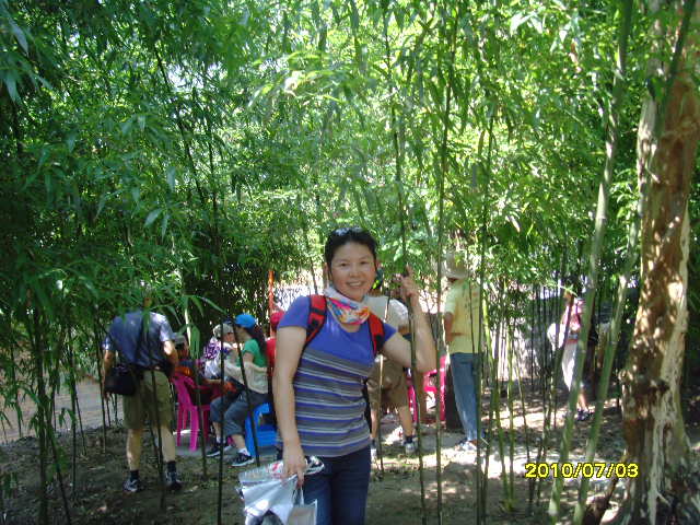 SNV32998.JPG