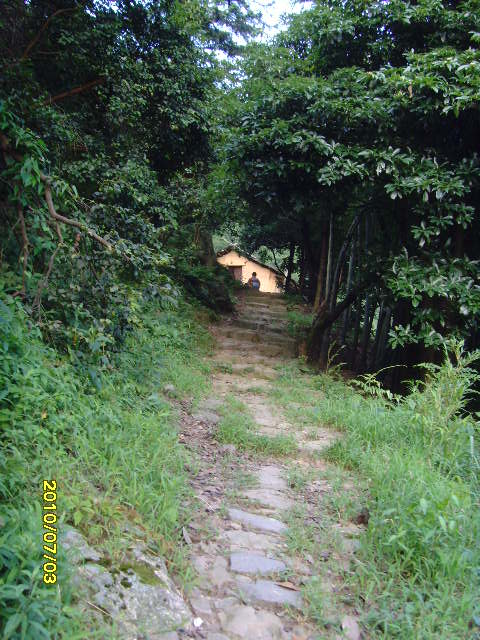 SNV33006.JPG