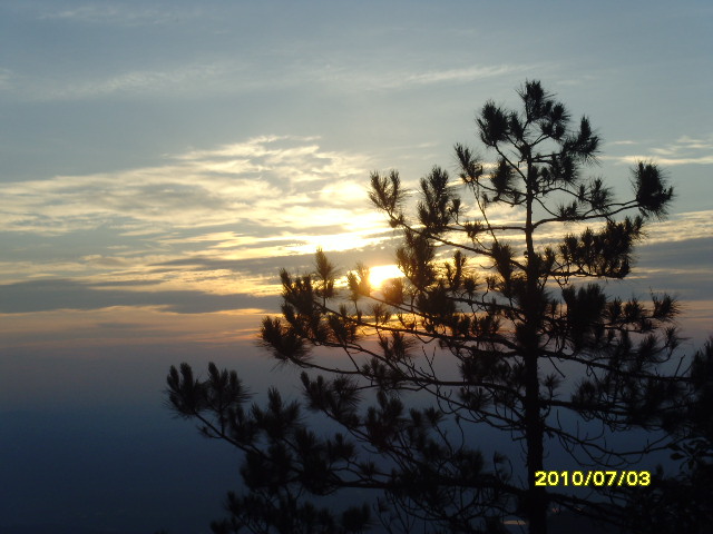 SNV33021.JPG