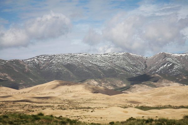 IMG_5171.jpg