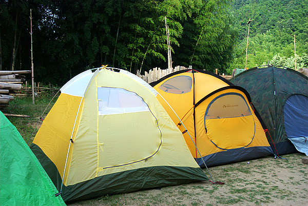 DSC_0236.jpg