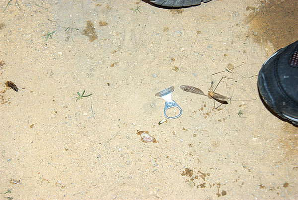 DSC_0336.jpg