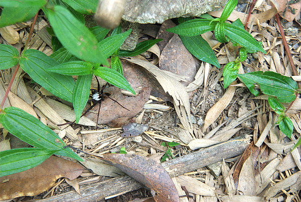 DSC_0360.jpg