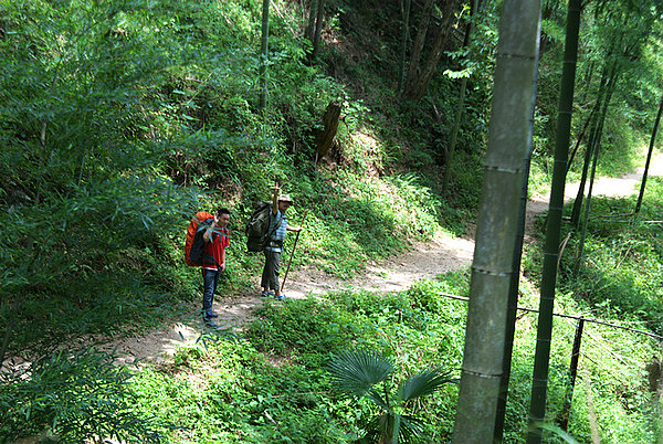DSC_0386.jpg