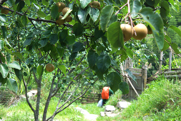 DSC_0399.jpg