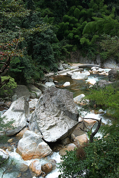 DSC_0403.jpg