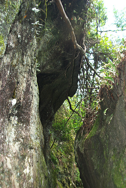 DSC_0404.jpg