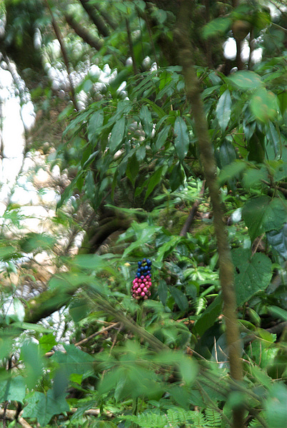 DSC_0414.jpg