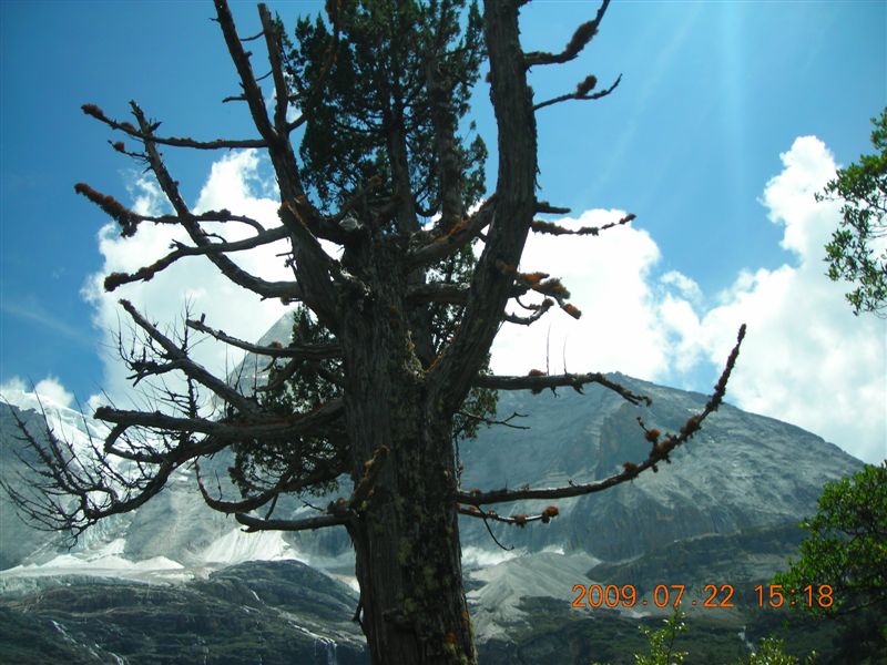 DSCN0351.JPG