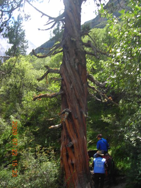 DSCN0355.JPG