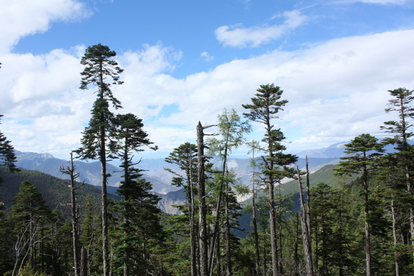 IMG_9729.JPG