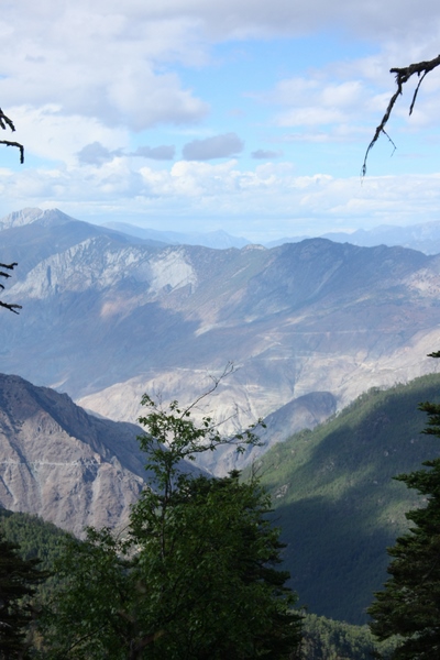 IMG_9733.JPG