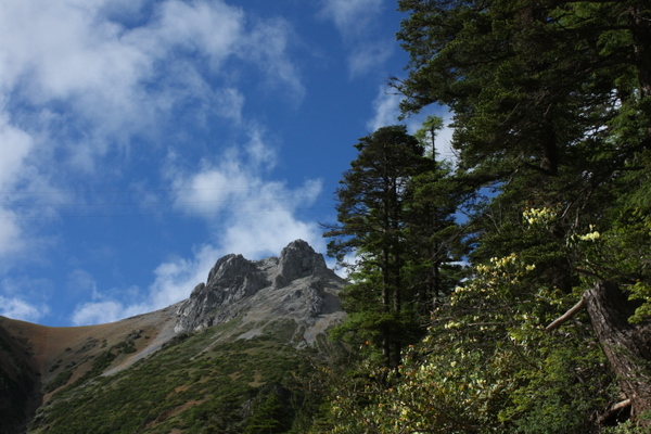 IMG_9757.JPG