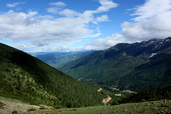 IMG_9747.JPG