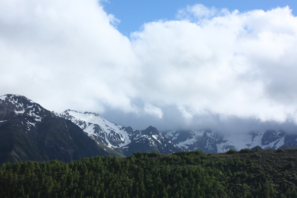 IMG_9774.JPG