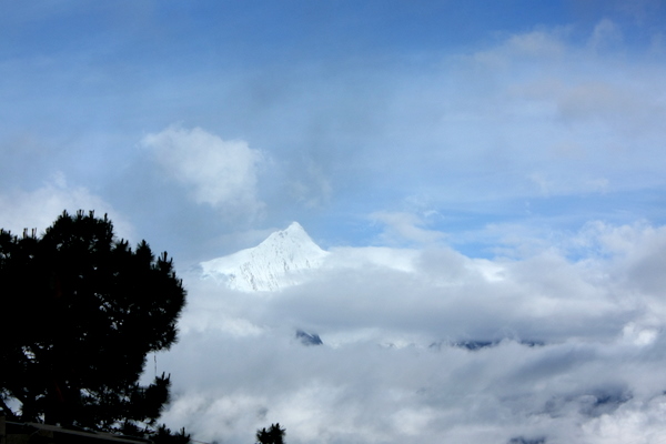 IMG_9791.JPG