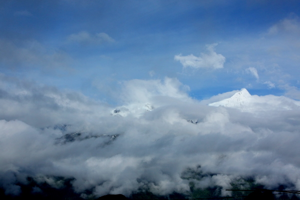 IMG_9801.JPG