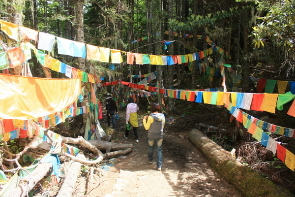 IMG_9852.JPG