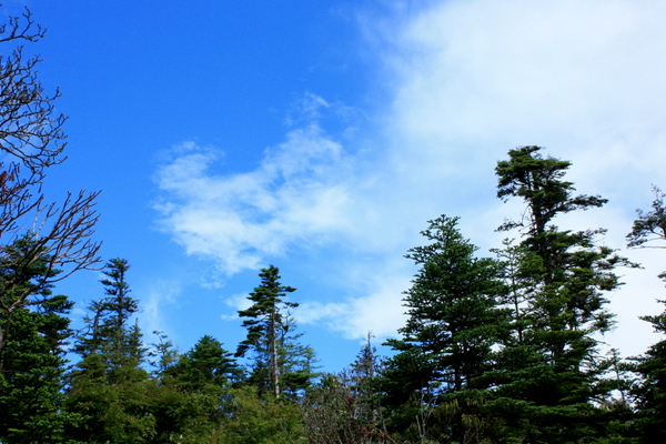 IMG_9867.JPG