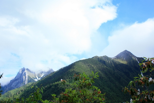 IMG_9890.JPG
