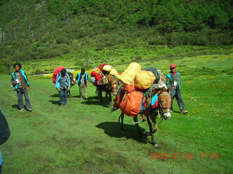 DSCN0529.JPG