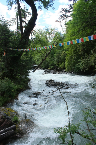IMG_9960.JPG