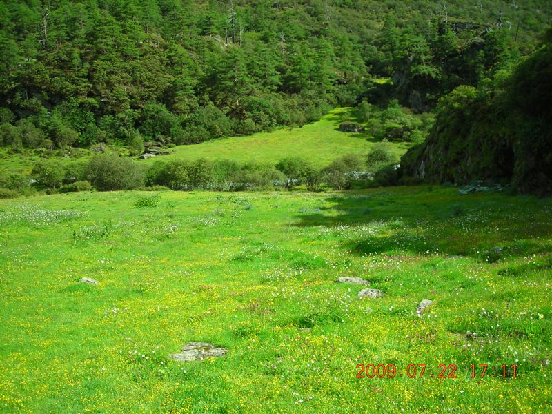 DSCN0544.JPG