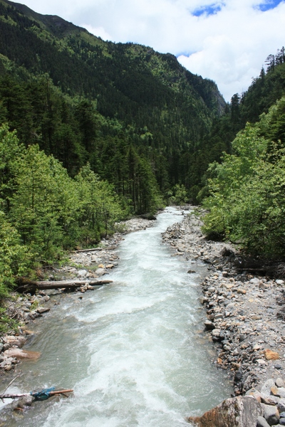 IMG_0011.JPG