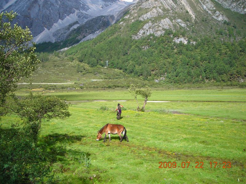 DSCN0549.JPG
