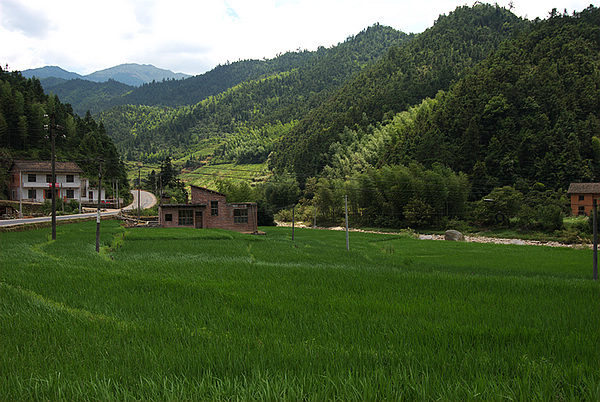 DSC_0011.jpg