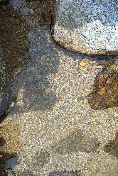 DSC_0049.jpg