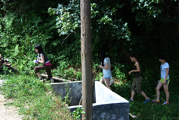 DSC_0084.jpg