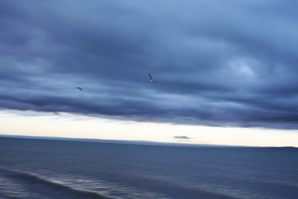 IMG_4925.jpg