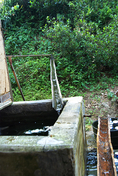 DSC_0153.jpg