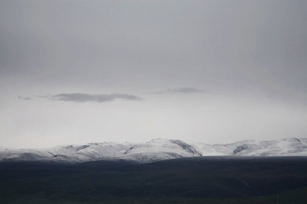 IMG_4940.jpg